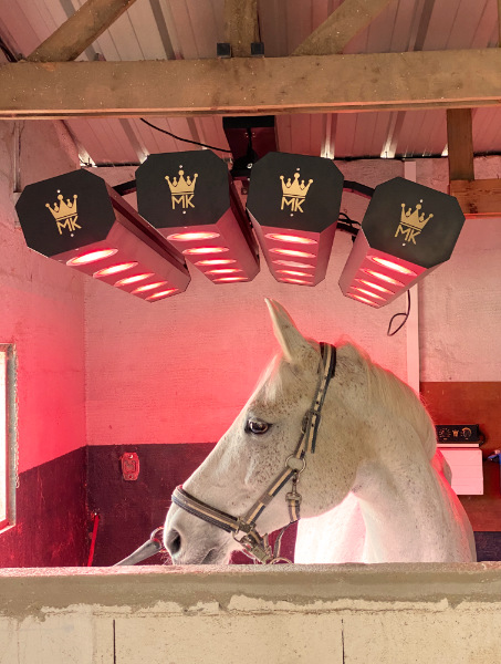 solarium cheval soins